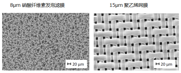 发泡滤膜和网膜的结构对比